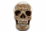 Realistic, Polished Wavellite Skull #378736-1